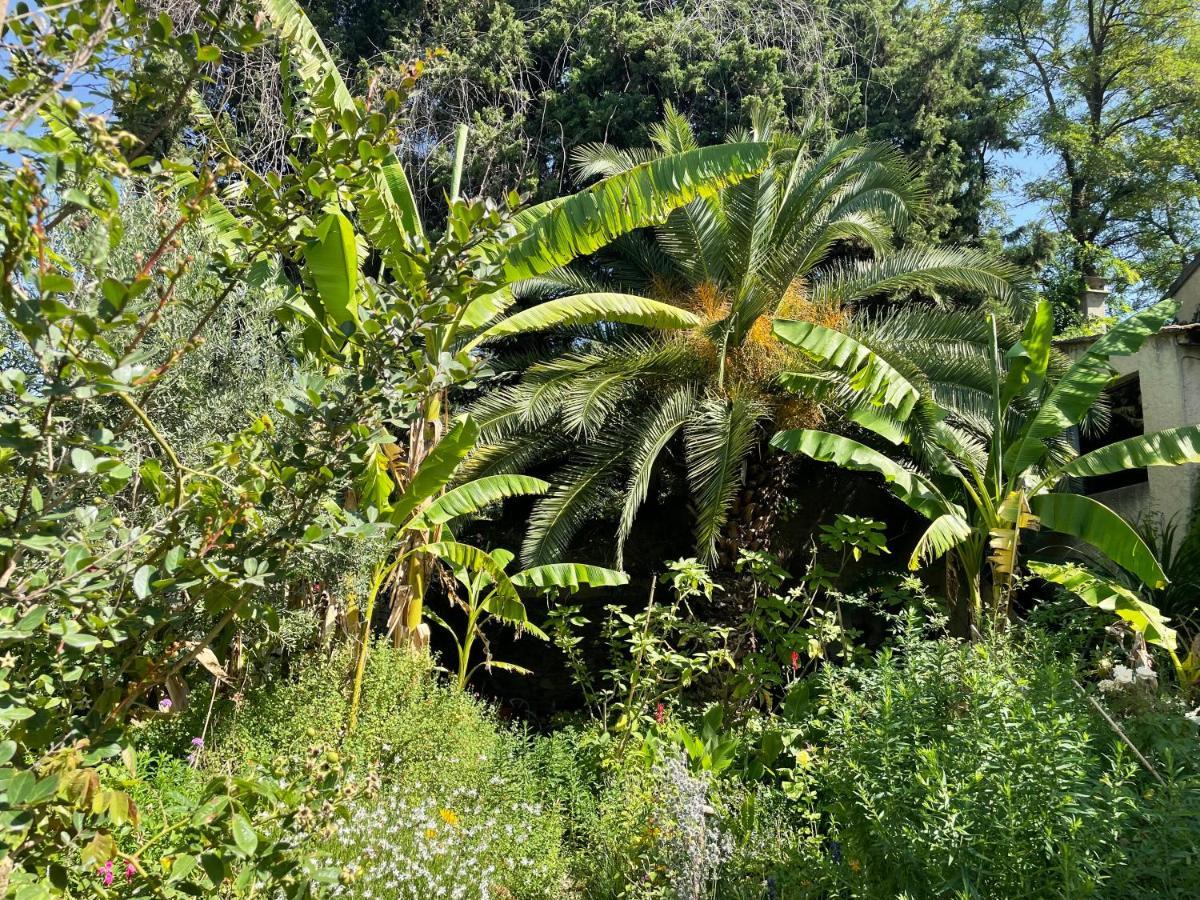 Villa Leona Clim Park Bollène Εξωτερικό φωτογραφία