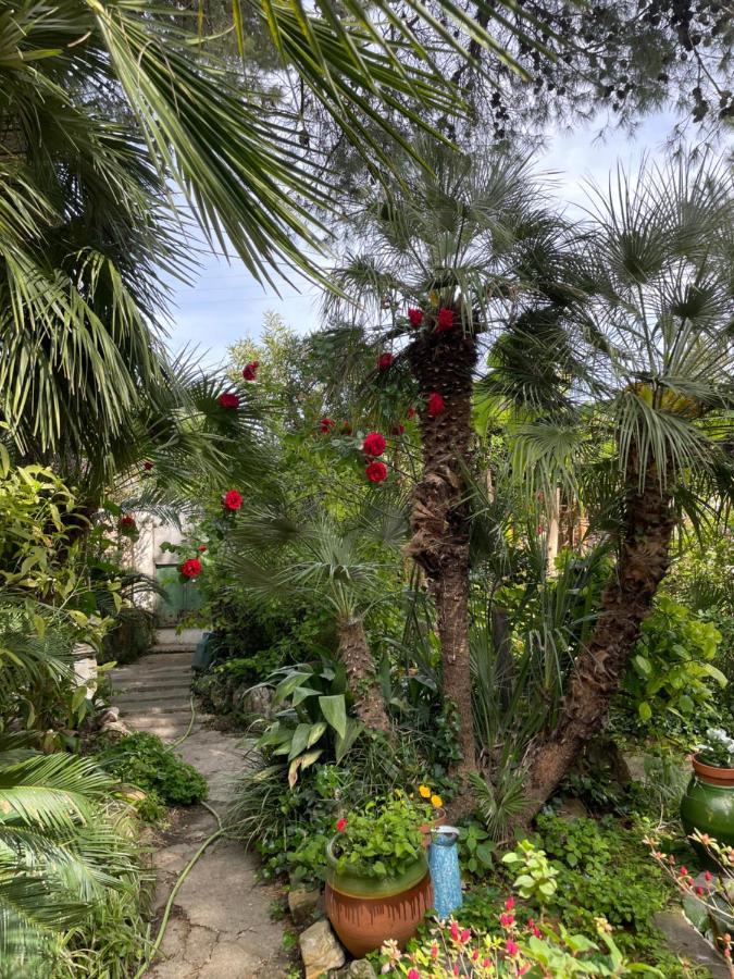 Villa Leona Clim Park Bollène Εξωτερικό φωτογραφία
